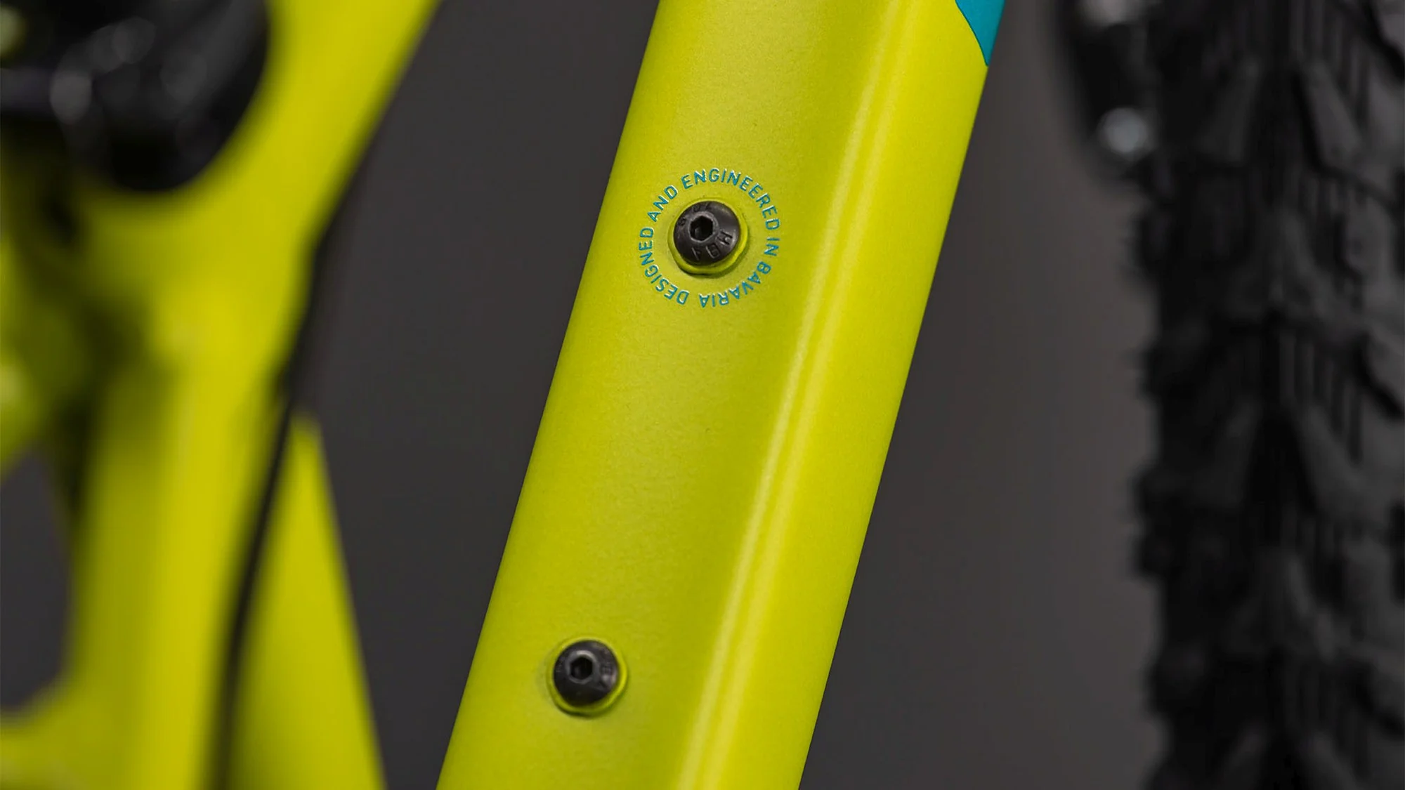 CUBE ACID 200 DISC LIZARD/BLUE - Image 4