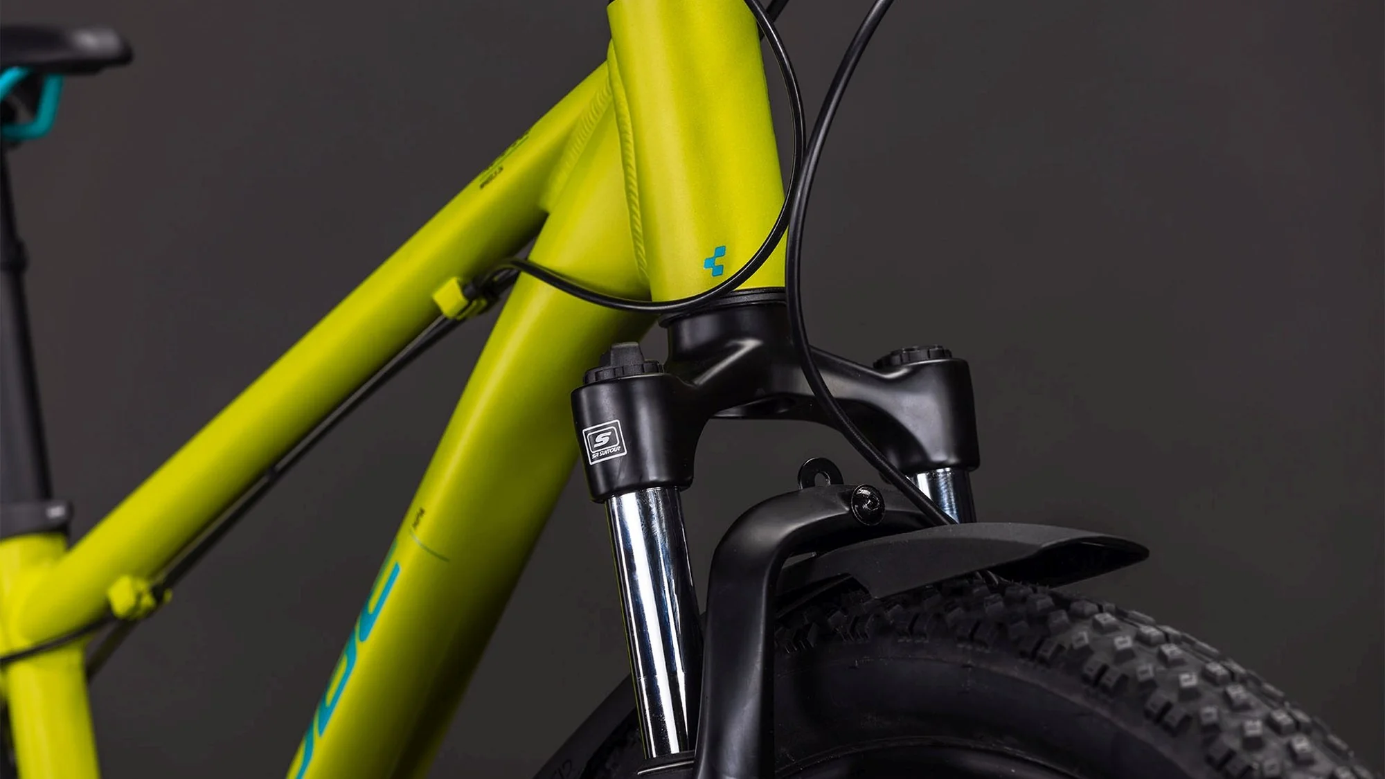 CUBE ACID 240 DISC FE LIZARD/BLUE - Image 5